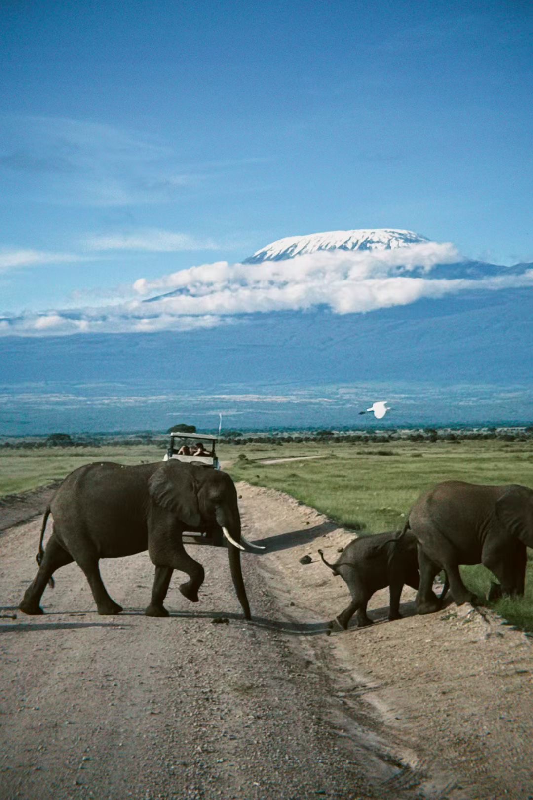 Amboseli National Park