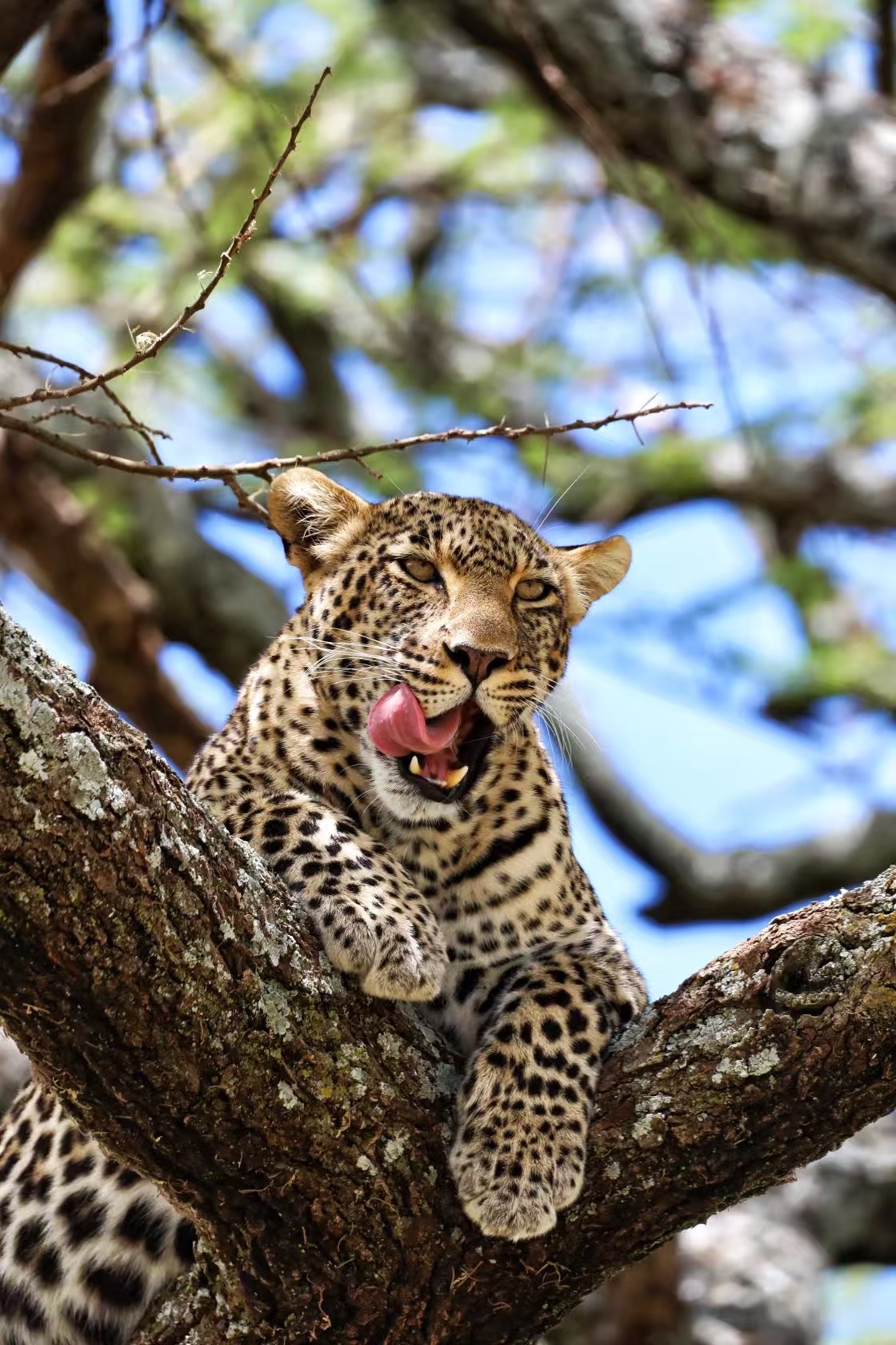 Lake Nakuru National Park to Masai Mara National Reserve