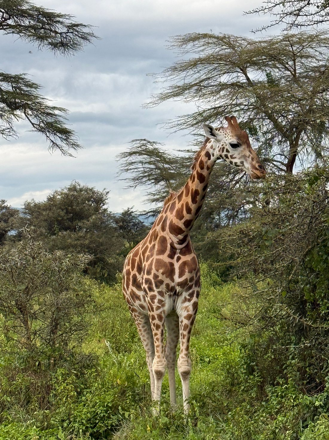 Lake Naivasha to Lake Nakuru National Park