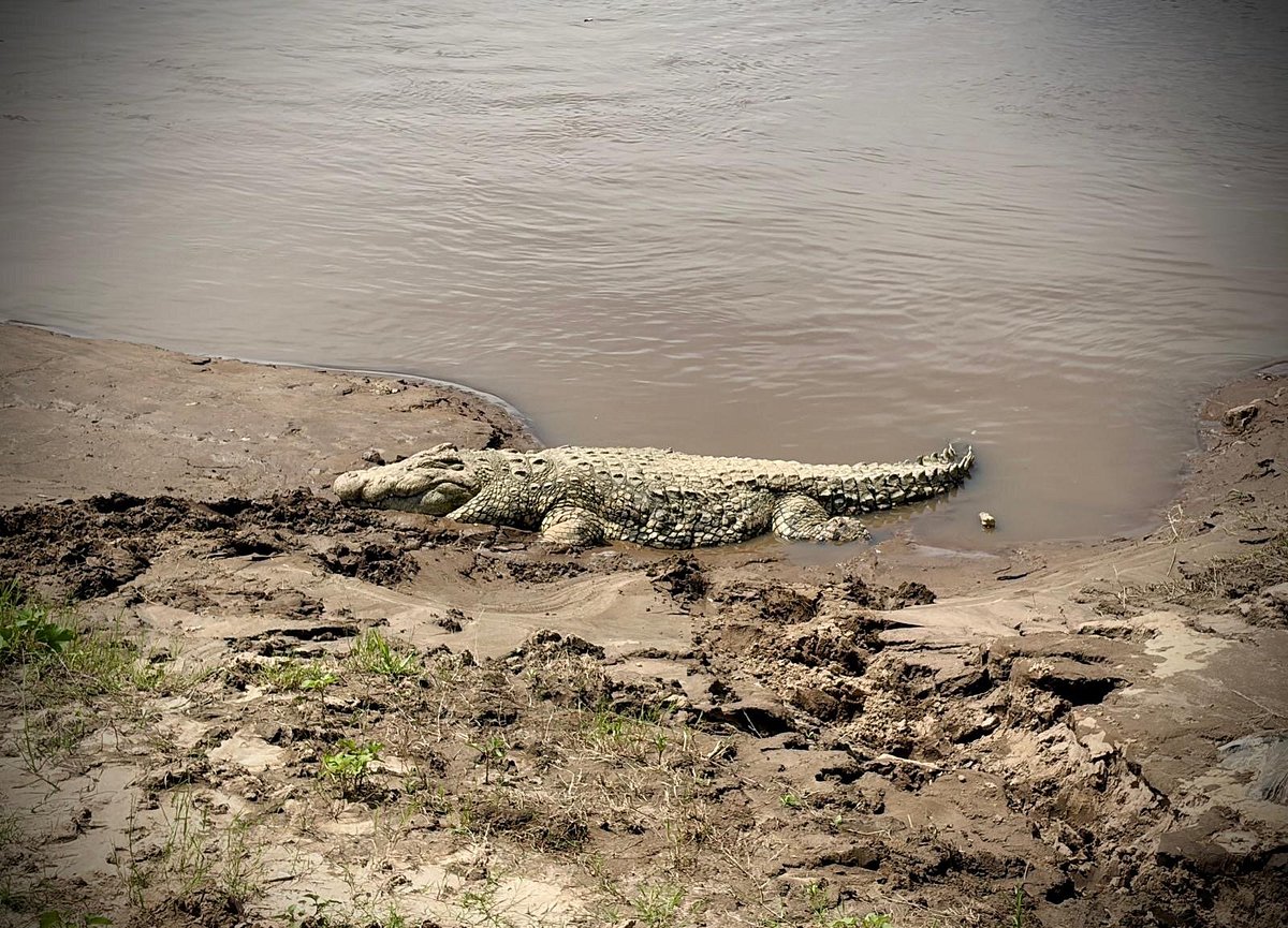 Amboseli National Park to Nairobi