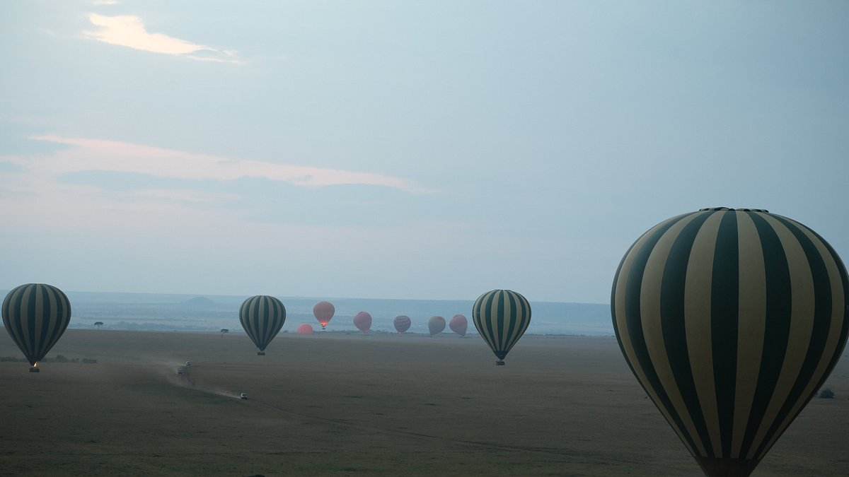 Masai Mara National Reserve