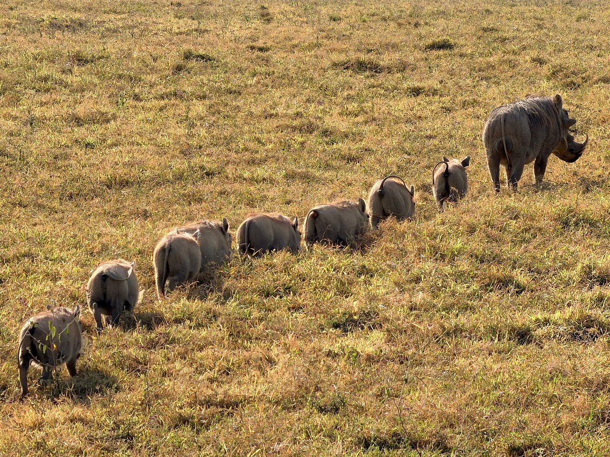 Amboseli National Park