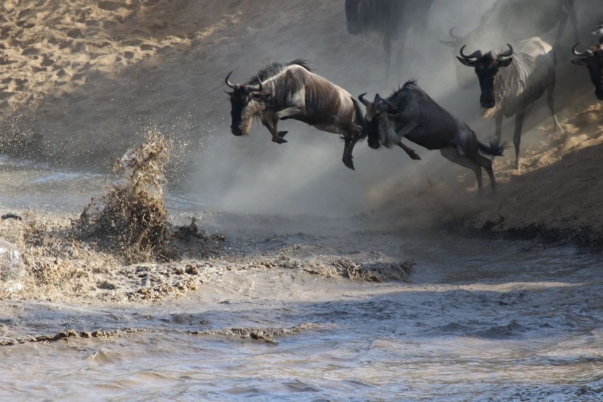 4-Day Midrange Safari in Lake Naivasha & Masai Mara